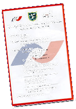 program